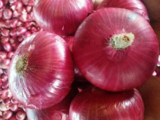 Whether it’s white, red or yellow onions, these pungent