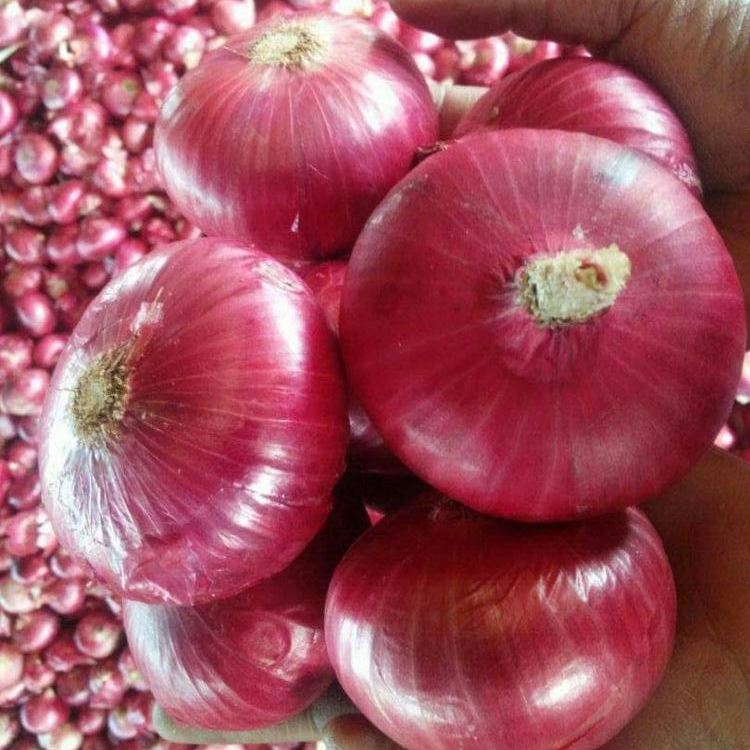 Whether it’s white, red or yellow onions, these pungent allium vegetables pack numerous health benefits in addition to big flavor