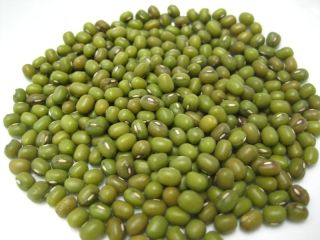 The mung bean, alternatively known as the green gram,