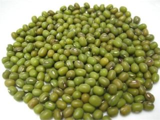 The mung bean, alternatively known as the green gram,