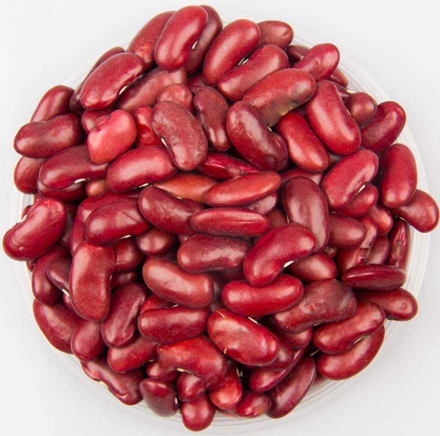 As a direct & reliable Processor of Edible Beans Products in Tanzania, we have own processing Factory and Warehouse , the products have got HACCP