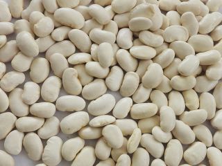 As a direct & reliable Processor of Edible Beans