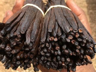 Vanilla is a flavoring derived from orchids of the