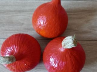 I will sell Hokkaido Orange pumpkins, Małopolska, Chrzanów poviat,