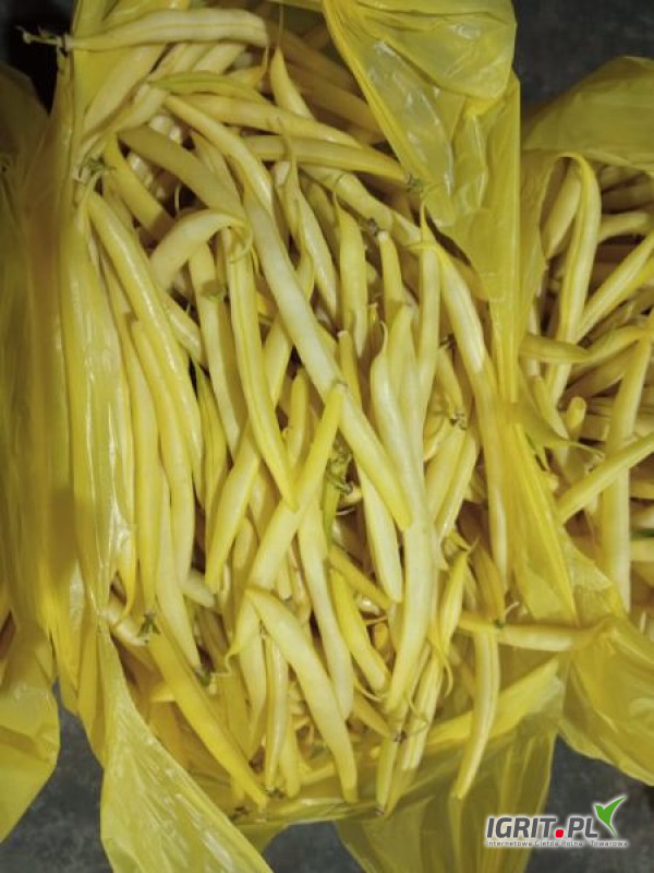 I will sell a nice young yellow UNIDOR-brand Price to be determined