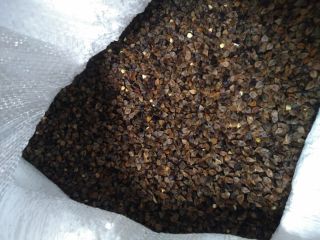 Hello. I am selling this year's ecological buckwheat with
