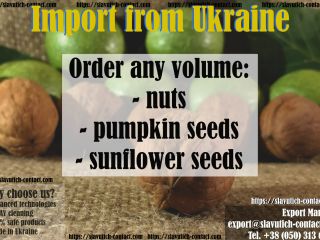 Slavutych-Contact is a Ukrainian export company that has been