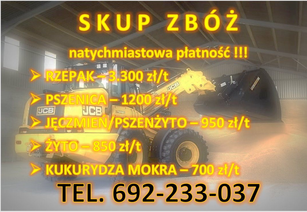 Corn - We guarantee quick unloading and immediate payment
