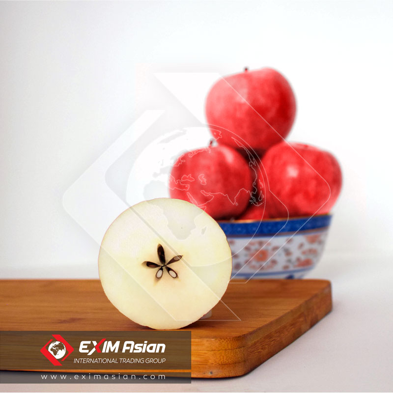 EXIM Asian International Trading Group, big, sweet, crispy apples are handpicked or if you want, Mechanical picked at their finest, bursting with unforgettable