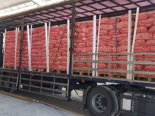 we sell white and red garlic directly from spain.