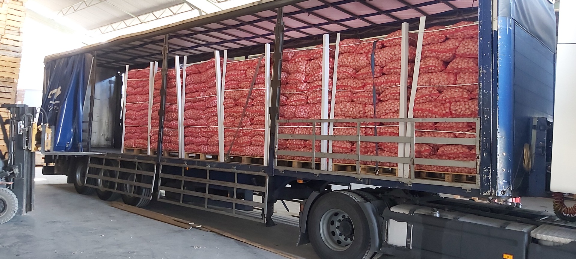 we sell white and red garlic directly from spain