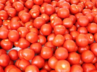 FRESH TOMATOES Specifications No cracks, no insect bites, mature,