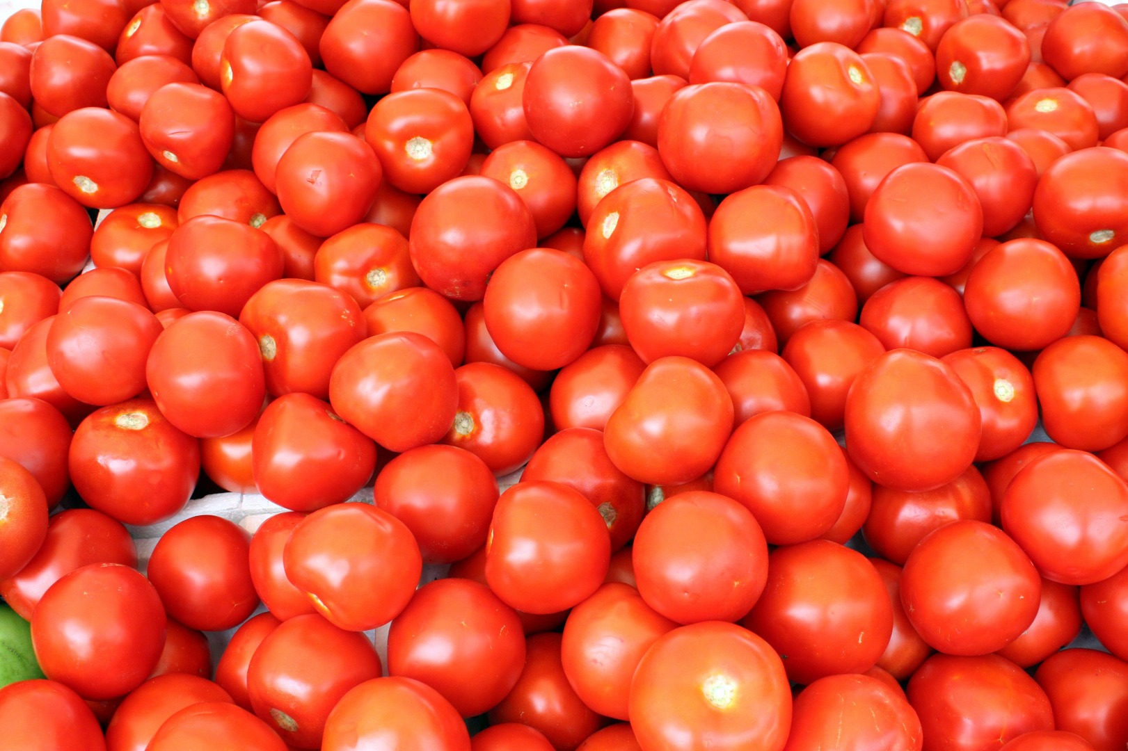 FRESH TOMATOES Specifications No cracks, no insect bites, mature, modest, sweet and sours, fresh red color, no abnormalities Product Big type Fresh Tomatos