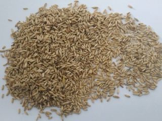 Golden Linen 22-66 t at the price of 850