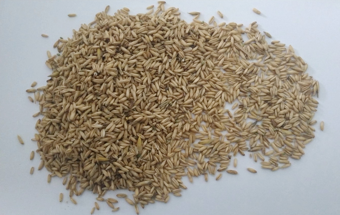 Golden Linen 22-66 t at the price of 850 EUR / t; - Round lupine 44-88 tons at a price of EUR 410 / ton; - Flat lupine 44-66 t, price EUR 440 / t; - Milk