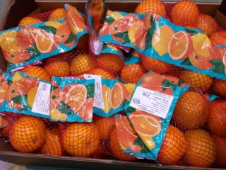 Laverida sells citrus fruits and avocados. We invite!