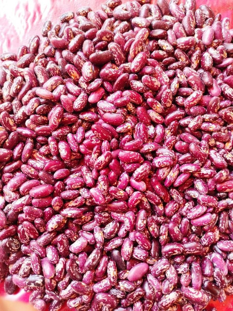 Dear friends My name is Islombek from Uzbekistan , I offer you green bean and kidney bean at compatative price.Please dont hasitate to contact with me Wechat