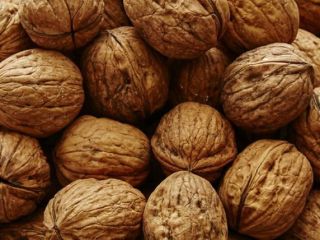 I will buy walnuts in small and large wholesale
