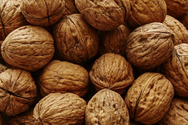 I will buy walnuts in small and large wholesale (from 200 kg)