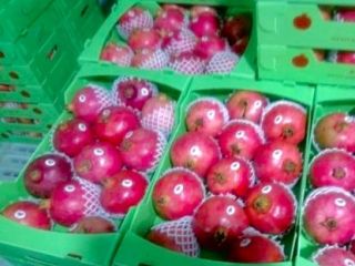 Ruby pomegranate The highest quality of Iranian gardens with