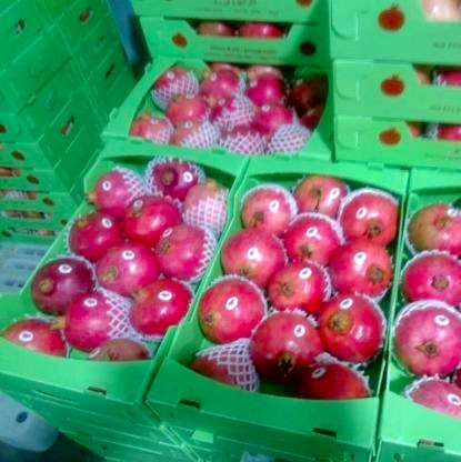 Ruby pomegranate The highest quality of Iranian gardens with a reasonable price