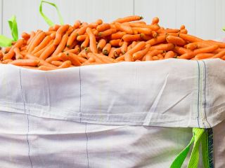 The pick up price is €0,15/kg