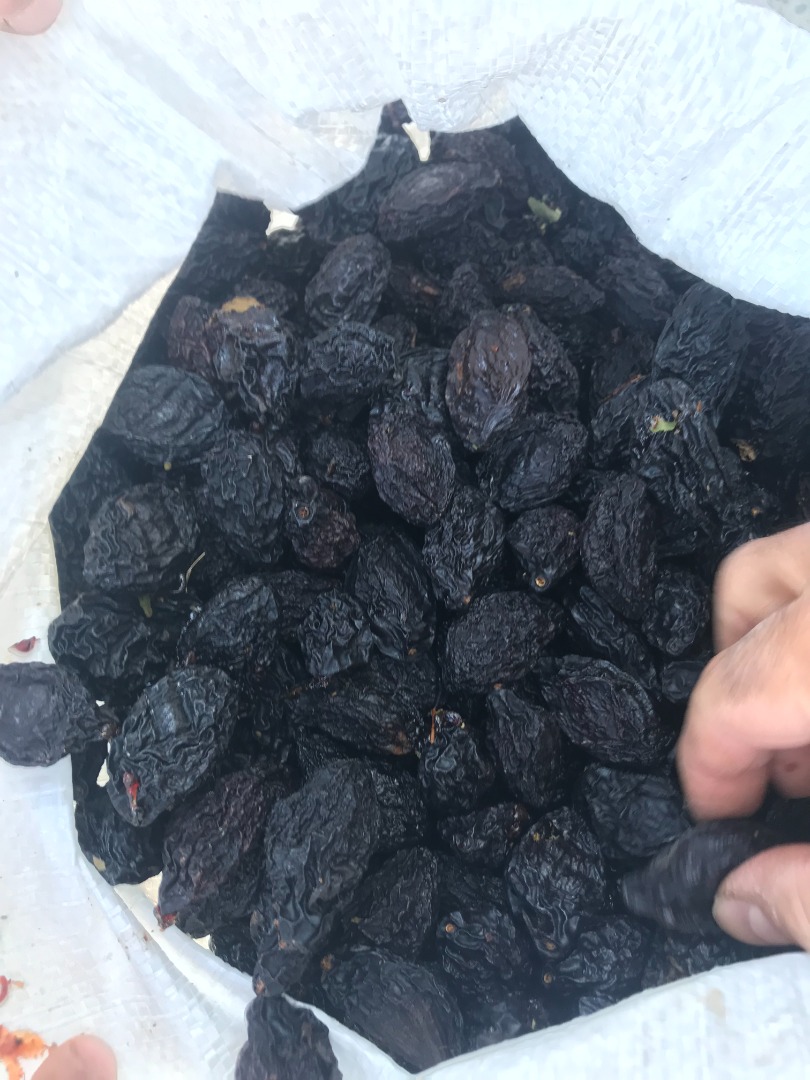 I sell prunes in a gas dryer, very tasty and odorless plum