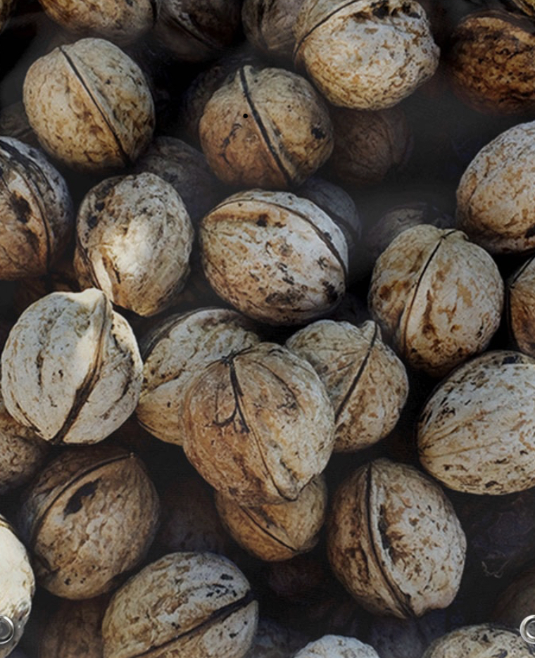 Sell wholesale walnut production quality 2021 Price is negotiable in large quantities Information on