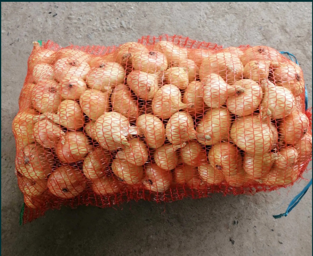 I am selling Romanian onions packed in 20 kg bags