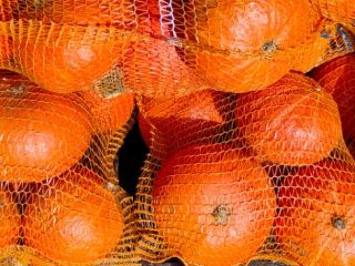 Hokkaido pumpkin no fertilizer no spraying quantity 15 tons