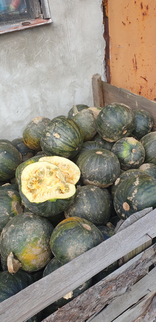 Hello, I have for sale zero-splash pumpkins up to 8 tons, organic, not spilled chaff