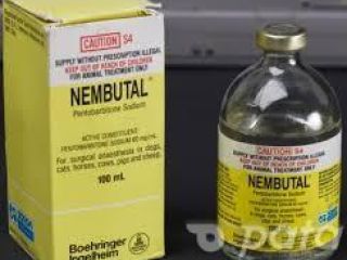 Buy Nembutal Pentobarbital Sodium All Forms of Nembutal include;call
