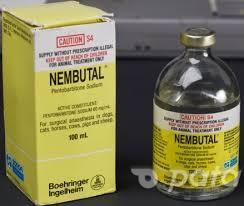 Buy Nembutal Pentobarbital Sodium All Forms of Nembutal include;call dr Alan * Drinkable Nembutal Pentobarbital mixed with sweeteners to avoid the bitterness