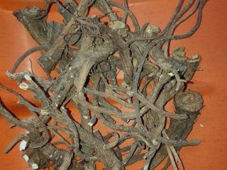 A masterpiece from this annual harvest, clean washed in
