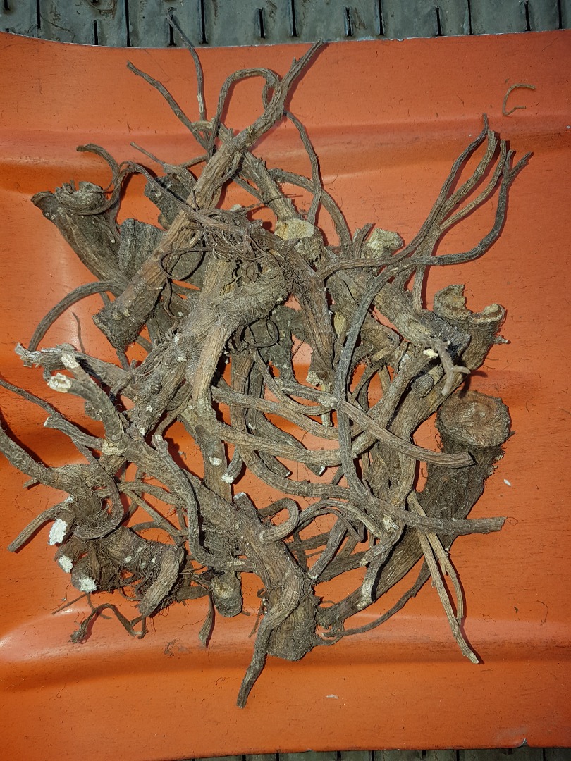 A masterpiece from this annual harvest, clean washed in new packaging