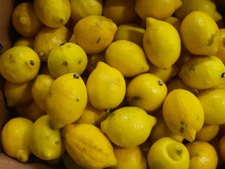 I will sell a 2nd class of lemon (with
