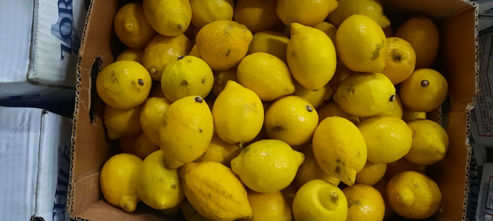I will sell a 2nd class of lemon (with minor blemishes, mechanical damage that does not affect the quality of the fruit), packed in 10 or 15 kg cartons