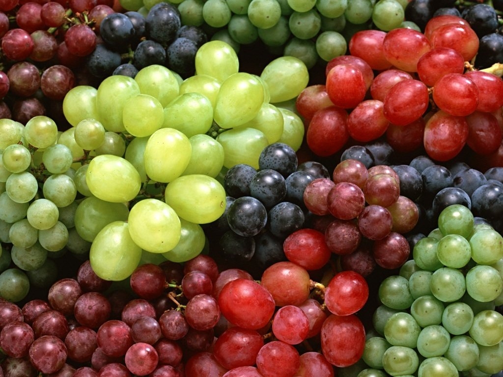 I am selling white and black grapes for wine, Bogați commune, Argeș county