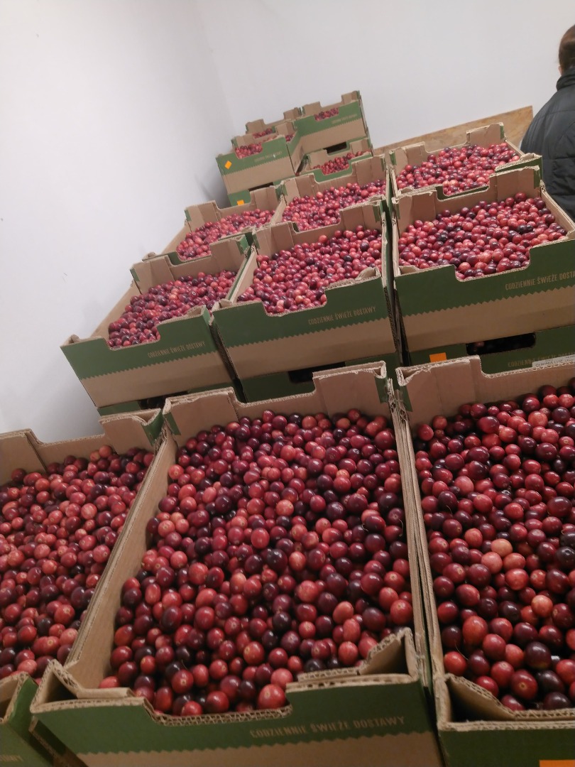 I will sell large-fruited cranberries