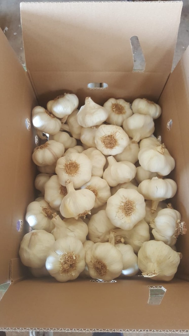We are producers and exporters of garlic and onion and we are located in Almansa, Albacete (Spain)