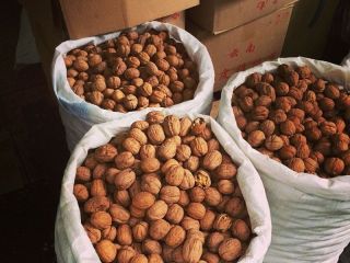 I will buy a walnut (walnut) small and big