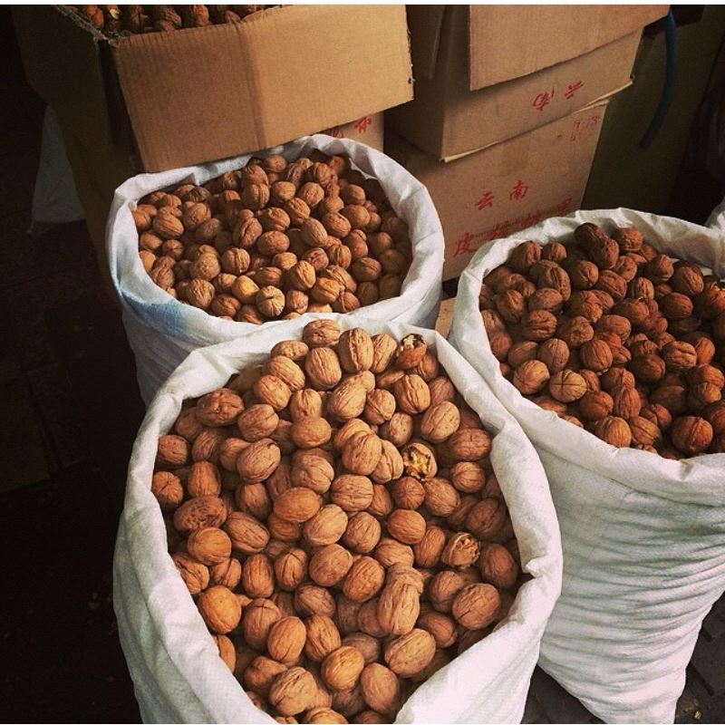 I will buy a walnut (walnut) small and big wholesale (from 200 kg)