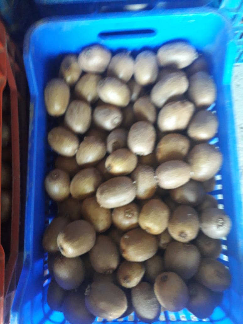 We have been producing kiwifruit for 20 years, which we offer for sale here