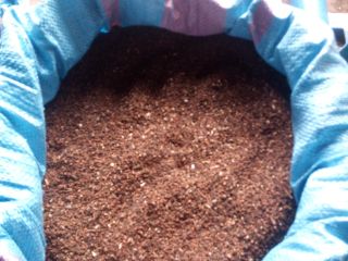 Hello, I am selling about 12 tons of organic
