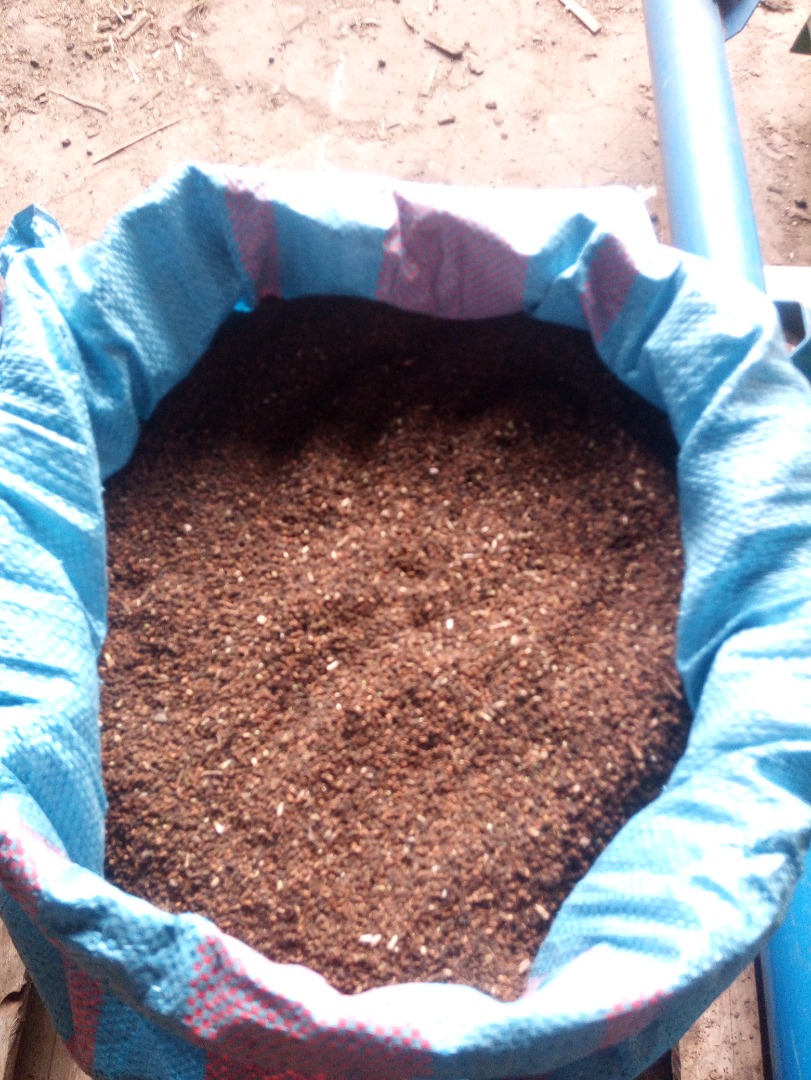 Hello, I am selling about 12 tons of organic buckwheat, cleaned and dried