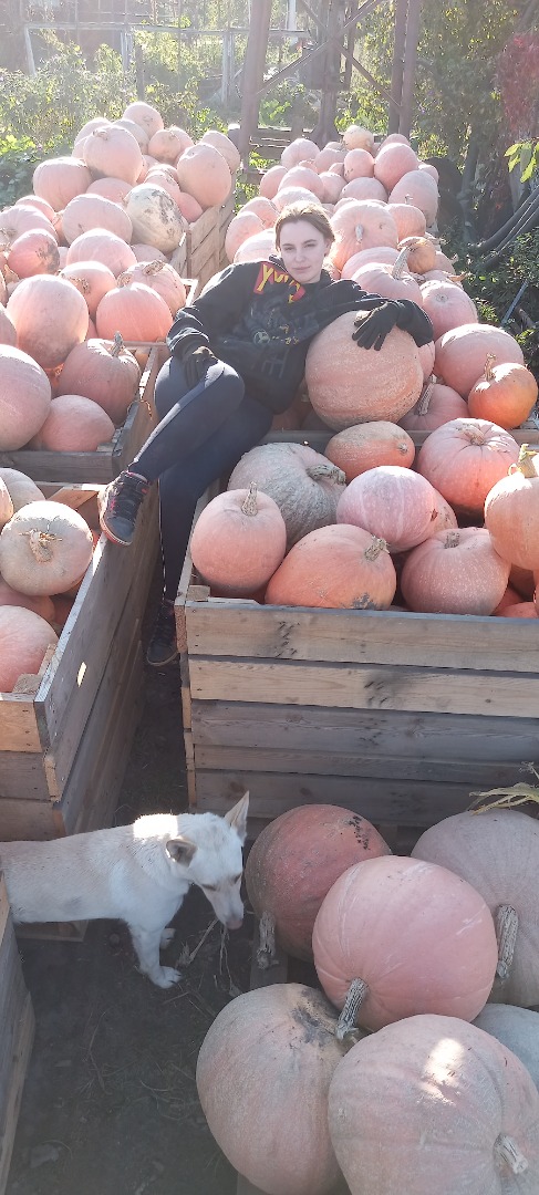 I will sell a hokkaido pumpkin about 2 tons 0.9 PLN per kg and a Bambino pumpkin 0.35 gros per kg
