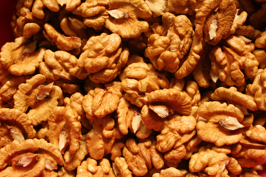 We buy walnuts (walnuts) in any quantities (from 200 kg)