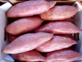 Orange Fleshed Sweet Potato