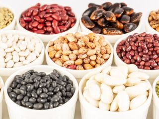 Beans for sale. Buy beans We offer to buy