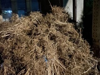 I am selling large bundles of dried dill for